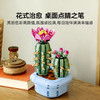 乐高积木L11509
开花的仙人掌 商品缩略图4