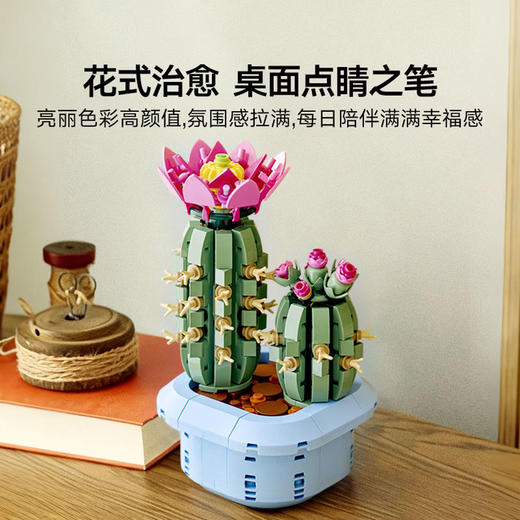 乐高积木L11509
开花的仙人掌 商品图4