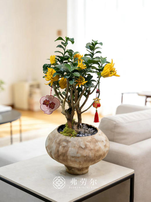 日进都金-金佛手2 商品图0