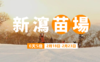 【春节出发】日本新泻苗场 6日5晚 | 品牌酒店，滑进滑出 商品缩略图0