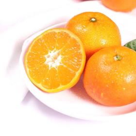 糖果柑1.2kg/袋 (果径50-55mm）