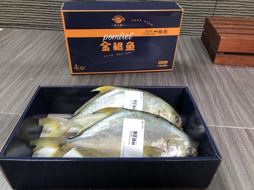 【春节鱼礼盒】  黄花鱼/金鲳鱼/海鲈鱼 商品图6