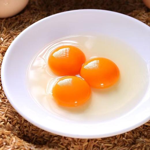 【兰天农场直供】生态散养土鸡蛋50枚/箱【FY】 商品图1