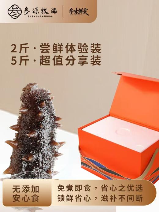 （海参）参味鲜食（2-5斤装【MJ】 商品图3