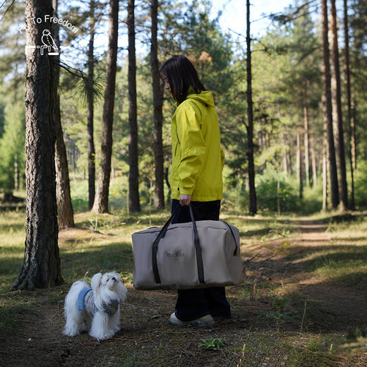 飞图乐（FTLY） 茶松棕-月亮椅方桌/长桌三件套 LP 商品图1