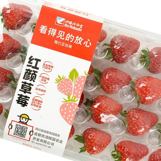 看得见的放心草莓中果300g/盒 （单果15-20g，15粒/20粒） 商品图1