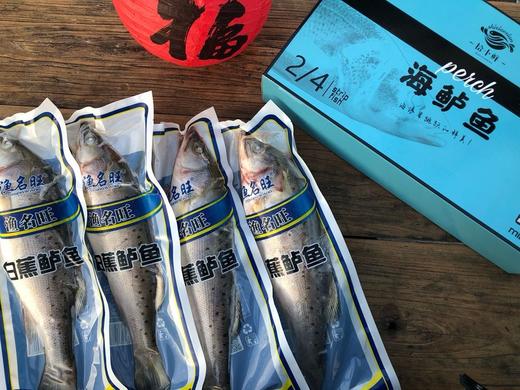 【春节鱼礼盒】  黄花鱼/金鲳鱼/海鲈鱼 商品图9