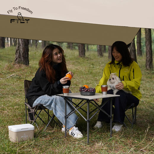 飞图乐（FTLY） 茶松棕-折叠桌椅方桌三件套 LP 商品图1