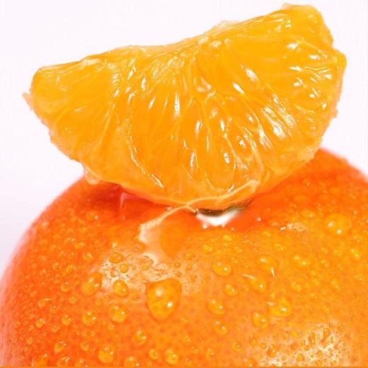 糖果柑1.2kg/袋 (果径50-55mm） 商品图3