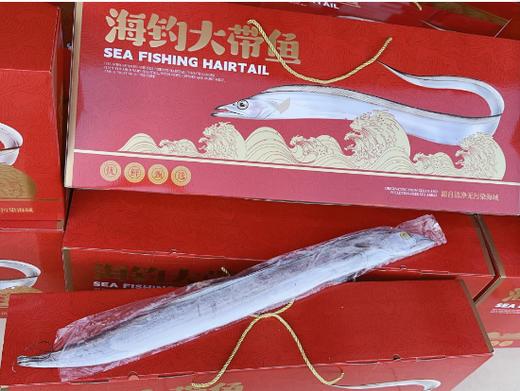 海钓大带鱼 商品图1