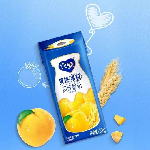 蒙牛 纯甄黄桃风味酸奶200g*10瓶/箱【FY】 商品图1