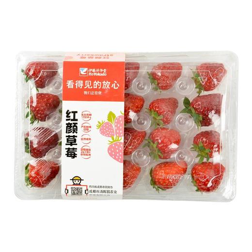 看得见的放心草莓中果300g/盒 （单果15-20g，15粒/20粒） 商品图0