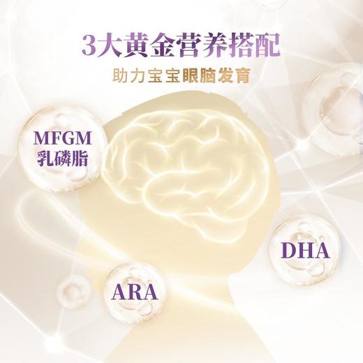 【云优选】荷兰HeroBaby白金版1段 800g 商品图2