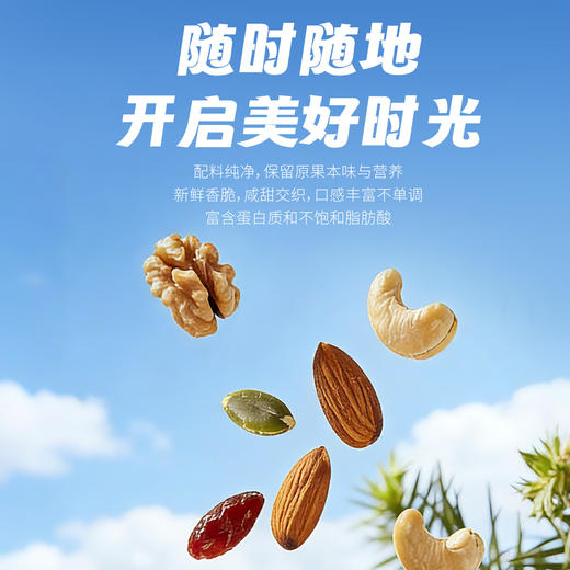 厦航空厨每日坚果什锦果仁礼盒臻选6种优质坚果果干黄金配比咸甜交织 商品图2