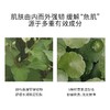 Abib阿彼芙面膜 10片★ 商品缩略图2