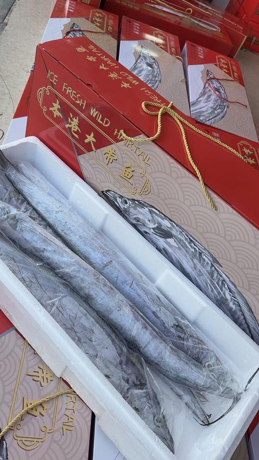本港大带鱼礼盒(平潭) 商品图2