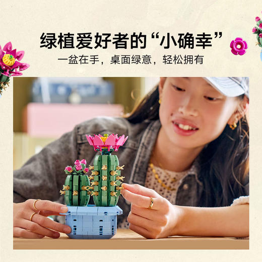 乐高积木L11509
开花的仙人掌 商品图2