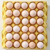 【兰天农场直供】纯散养土鸡蛋30枚/板【FY】 商品缩略图6