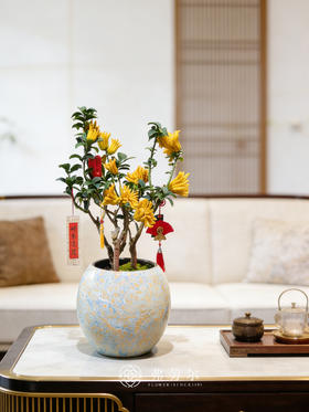 马到成功-金佛手8