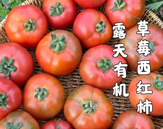 干热河谷露天有机西红柿（草莓西红柿）3斤(15-18个)，露天种植有疤不好看，介意慎拍，下单后48小时左右发货 商品图1