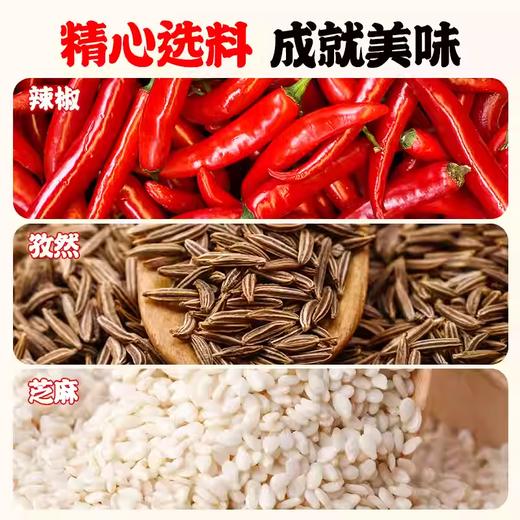 鸿兴源烧烤撒料 商品图1