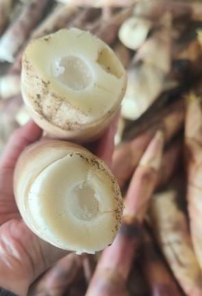 春笋3斤左右，以其鲜美和醇厚的口感脱颖而出  那脆爽的口感，清冽回甘的清香😋 商品图2