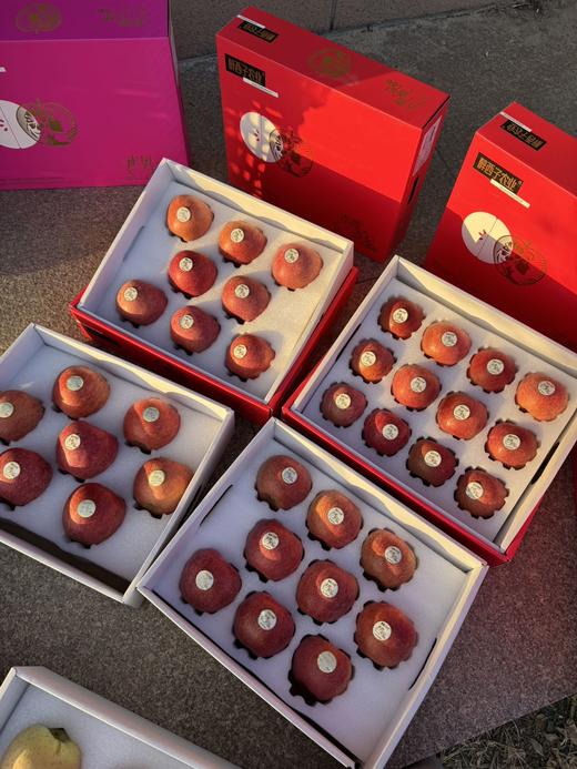 赤霞香妃苹果｜新西兰混血 商品图10