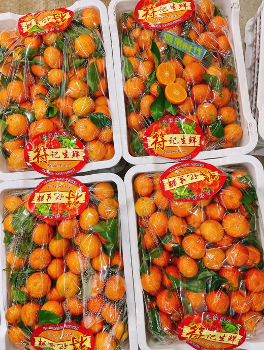 符记砂糖橘一箱 商品图0