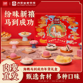 海鹏新春礼盒马到成功16品16味800g