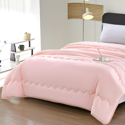 【多样屋专柜】雅鹿纳米抗菌被子200*230cm 2000g 商品图5