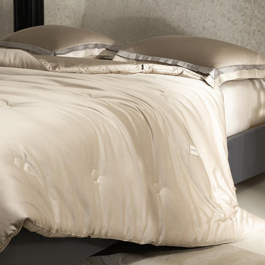 【多样屋专柜】多样屋碳护四季小黑被-金色/200*230cm 商品图3