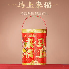 洽洽 马上来福坚果桶625g  严选品质坚果 佳节送礼 手提便捷式礼盒装 5天内发货