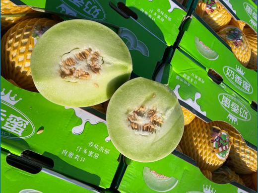 奶香蜜瓜一箱 商品图4
