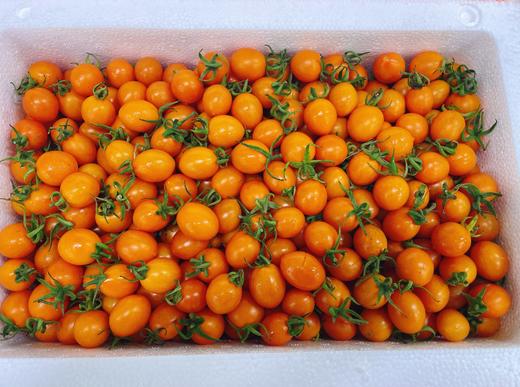 姑娘柿子2斤 商品图1