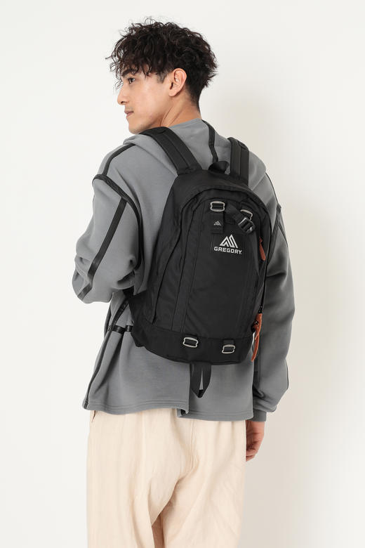 【2026员工内购】Gregory 双肩包09J*29203（Gregory请大家单独下单，独立仓库发货，不要和Samsonite和Lipault商品下一单，谢谢！） 商品图2