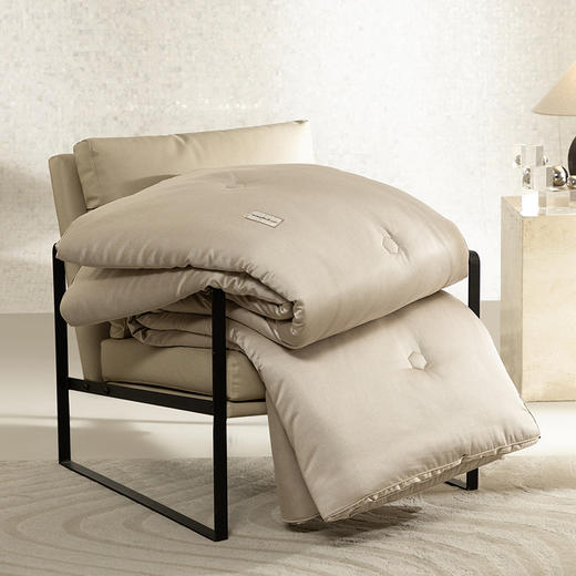 【多样屋专柜】多样屋碳护四季小黑被-金色/200*230cm 商品图4