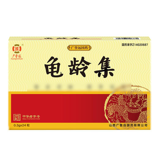 广誉远龟龄集24粒 商品图2