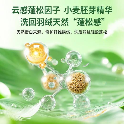水卫士羽绒服洗衣液 专用清洗剂 400g 商品图5