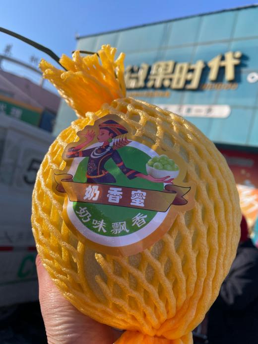 奶香蜜瓜一箱 商品图3
