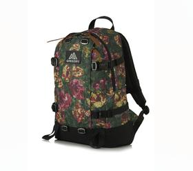 【2026员工内购】Gregory双肩包09J印花24L（Gregory请大家单独下单，独立仓库发货，不要和Samsonite和Lipault商品下一单，谢谢！）