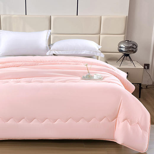 【多样屋专柜】雅鹿纳米抗菌被子200*230cm 2000g 商品图3