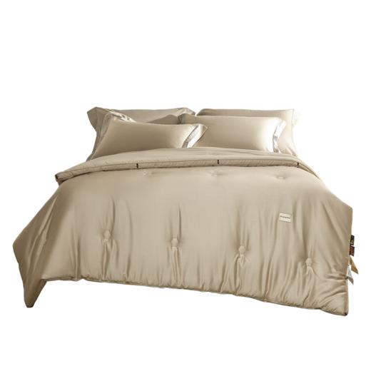 【多样屋专柜】多样屋碳护四季小黑被-金色/200*230cm 商品图6