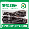 有机花青甜玉米 商品缩略图2