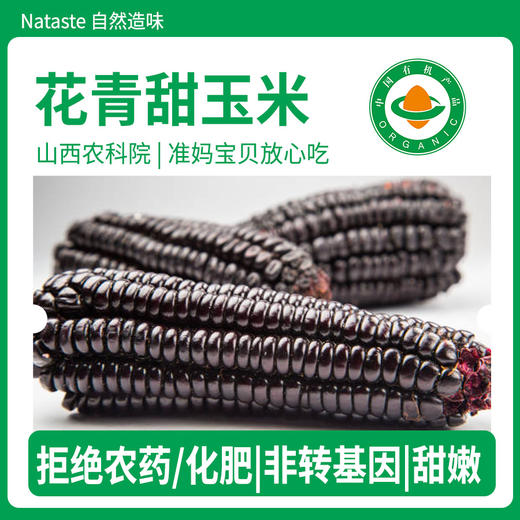有机花青甜玉米 商品图2