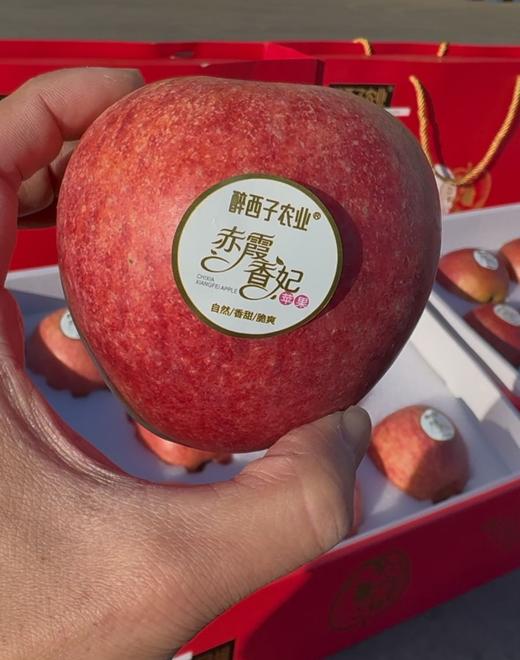 赤霞香妃苹果｜新西兰混血 商品图2