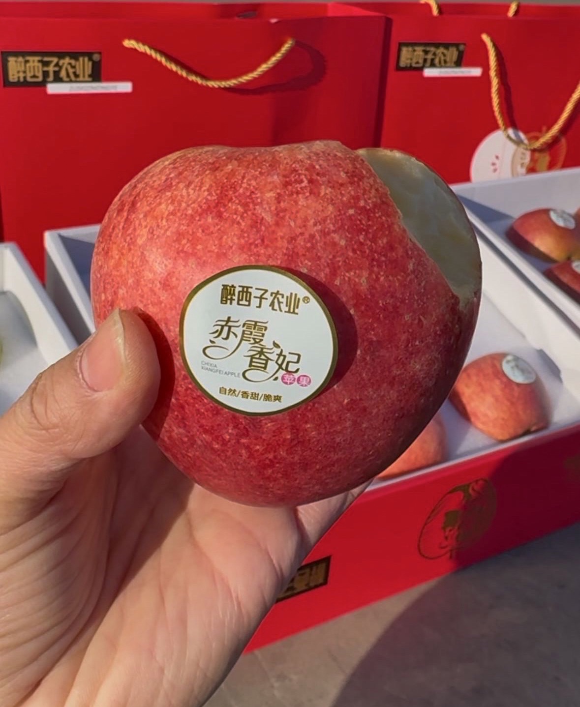 赤霞香妃苹果｜新西兰混血