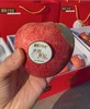 赤霞香妃苹果｜新西兰混血 商品缩略图0