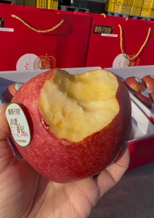 赤霞香妃苹果｜新西兰混血 商品图3