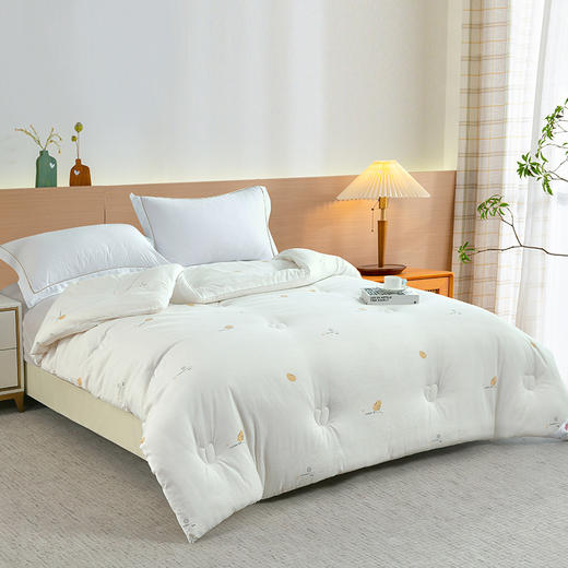 【多样屋专柜】雅鹿云感柔肤大豆被200*230cm 2500g 商品图1