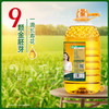 长寿花金胚玉米油5L非转基因物理压榨一级食用油烘焙油清香植物油 商品缩略图2